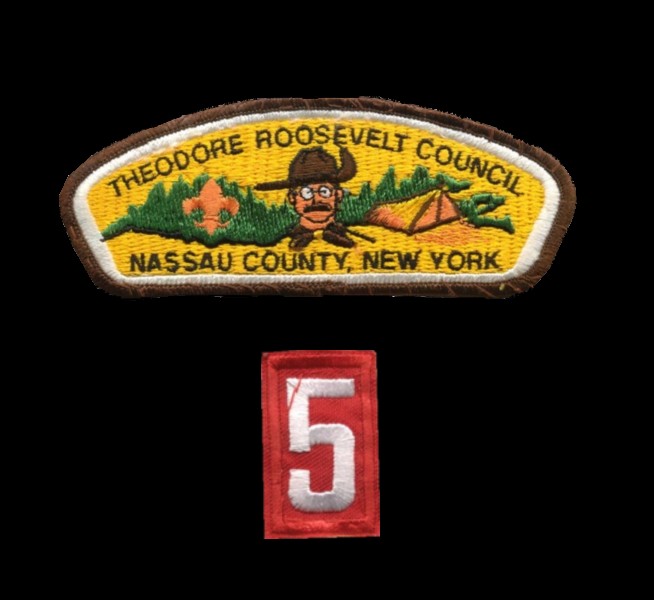 councilandnumeral.jpg