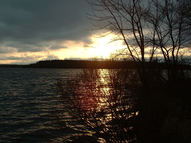 dscf0006.jpg